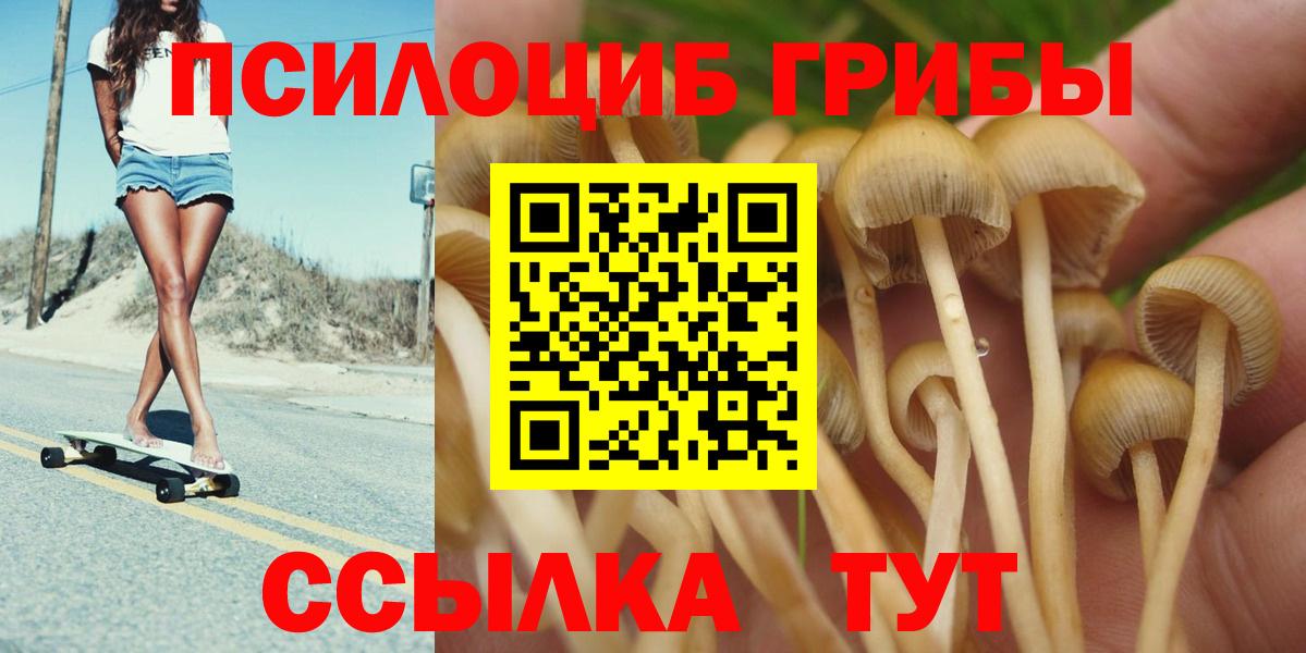 Псилоцибиновые грибы Psilocybine cubensis Зеленогорск